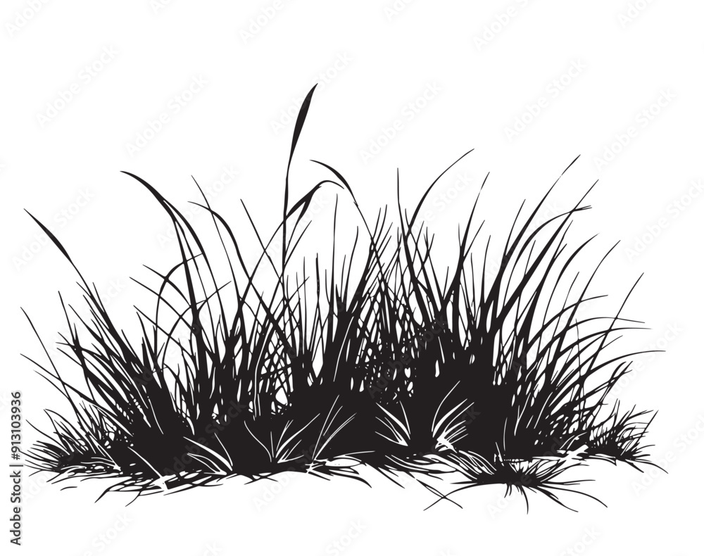 doodle grass illustration hand drawn style