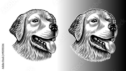 Head of a golden retriever, a labrador. Dog head portrait for sticker, emblem, label, print design. Vintage retro line art ink style. Purely vector illustration, without tracing, hand drawn by human