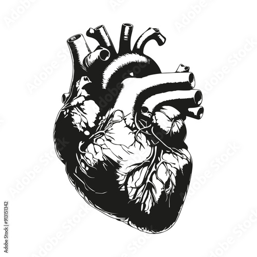  A hand-drawn human heart. Vector.