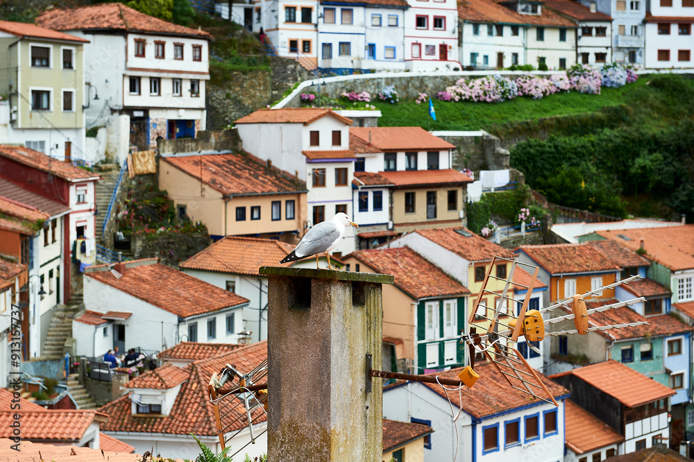 Yellow-legged Gull perched on top of a chimney above the rooftops of Cudillero Yellow-legged Gull perched on top of a chimney above the rooftops of Cudillero