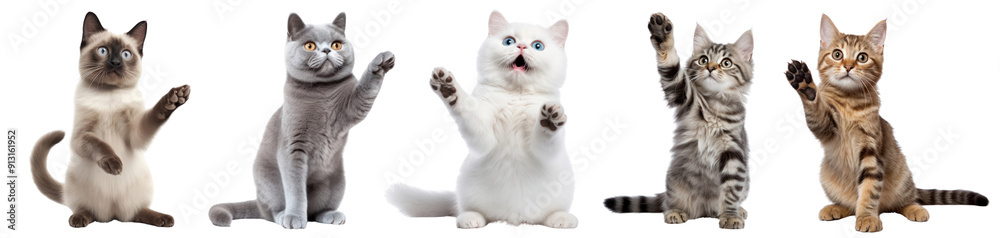 Cat waving hand png cut out element set Cat waving hand png cut out element set