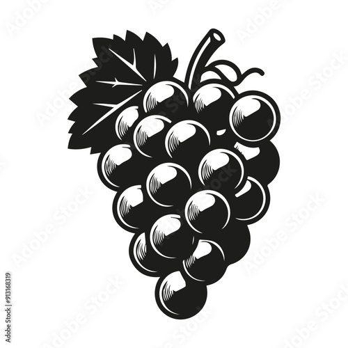 Grapes are a sketch drawn by hand in ink. Vector logo.