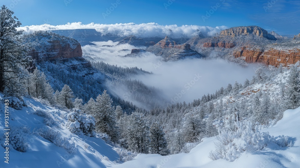 Snow covered pine trees and red rock cliffs rising above the clouds in winter. Arizona Snow covered pine trees and red rock cliffs rising above the clouds in winter. Arizona