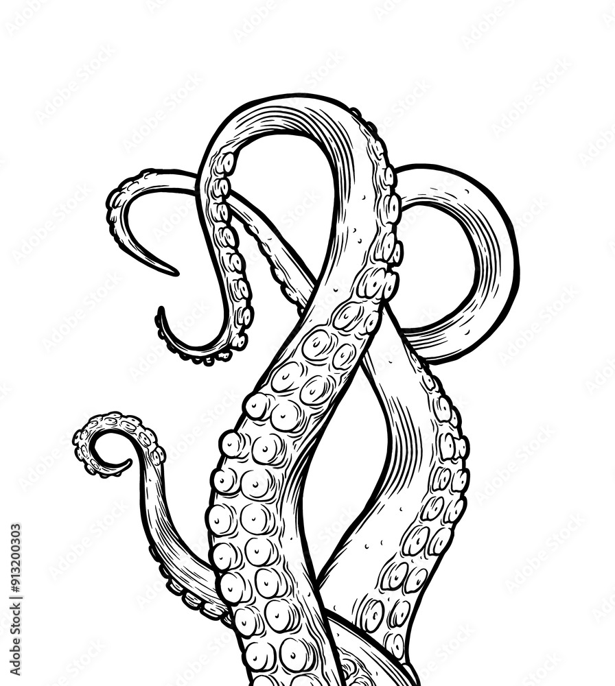 Fototapeta premium Tentacles of octopus, hand drawn collection of illustrations. Black and white engraving style drawings. Tentacle straight and with rings in different angles.