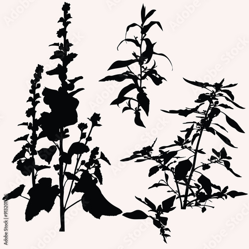 Isolated silhouettes of wild plants.eps
