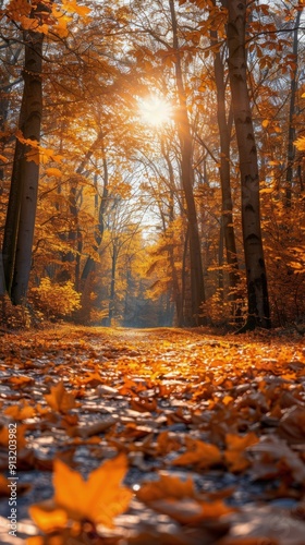 Path Through Forest Covered in Leaves