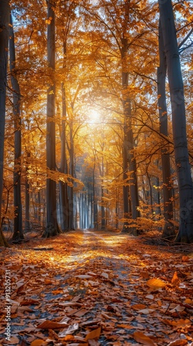 Pathway Through Forest Covered in Leaves