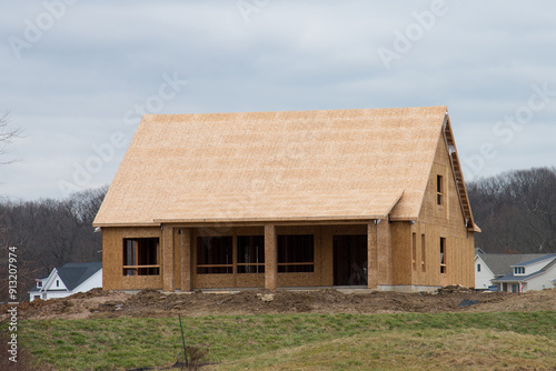 unfinished new plywood house