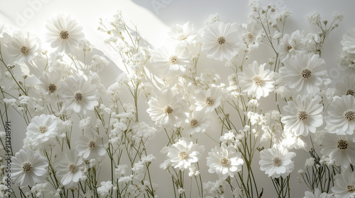 Illustrazione di fiori con spazio per il testo