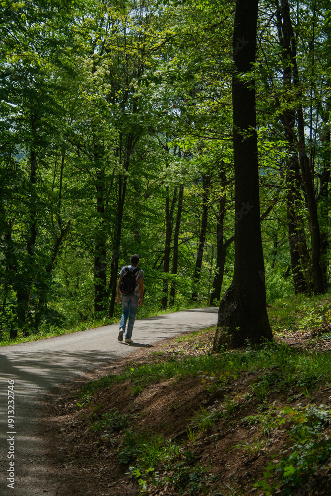 Obraz premium man walking in a forest