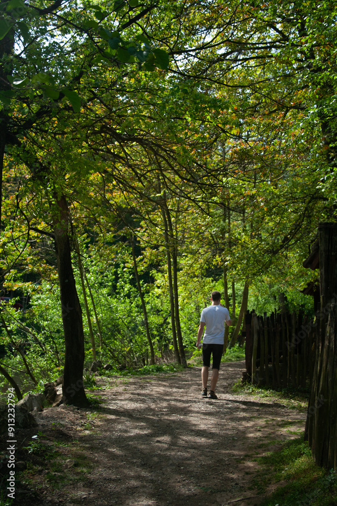 man walking in a forest man walking in a forest