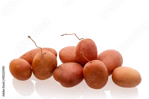 fresh just harvested potato tubes on white background