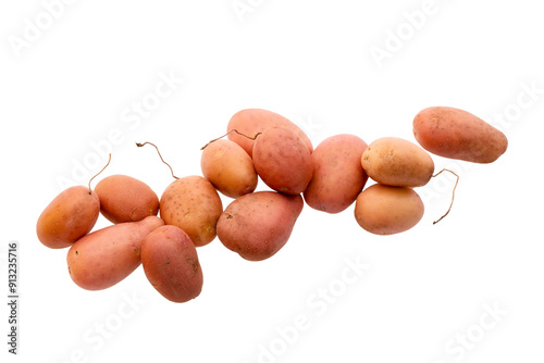 fresh just harvested potato tubes on white background