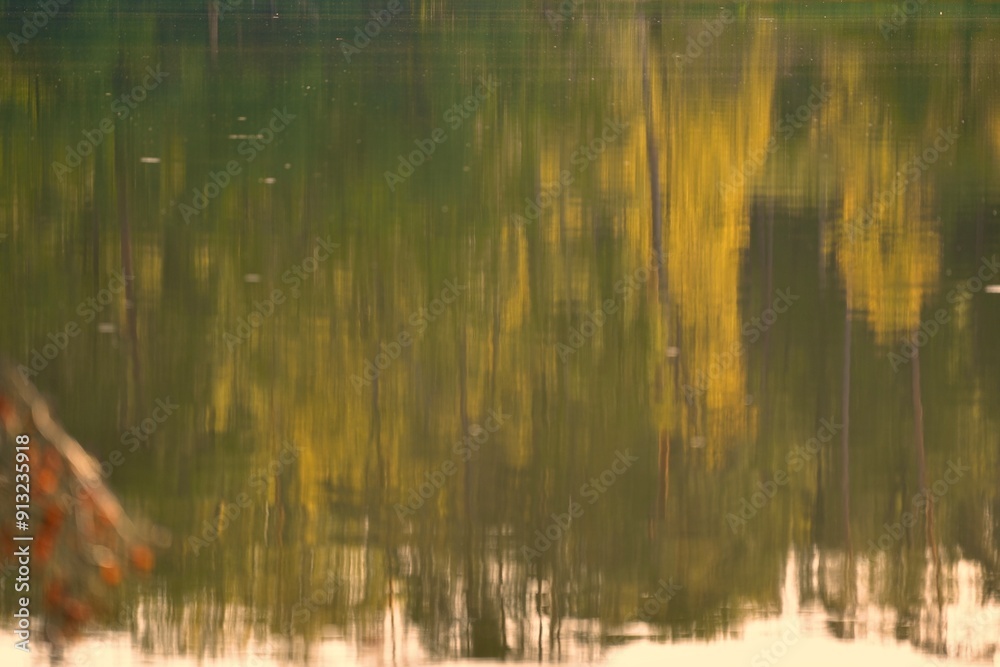 Background horizontal photo of reflection in water of the forest in early autumn. Background horizontal photo of reflection in water of the forest in early autumn.