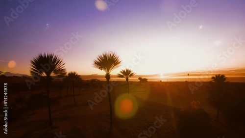 Shadows lengthening across a desert oasis as the sun sets creating a tranquil and serene atmosphere. Light leaks bokeh photo