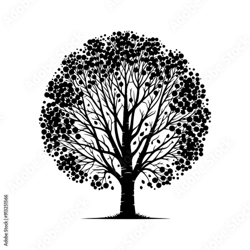 Poplar Tree Tree,vector black color silhouette