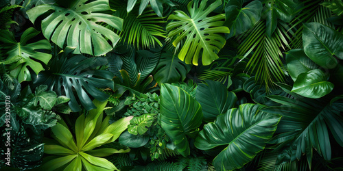 A dense collection of vibrant green tropical leaves creating a lush and natural foliage background, ideal for nature themes.