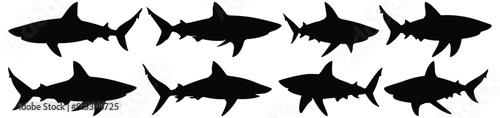 Shark silhouette set vector design big pack of fish illustration and icon