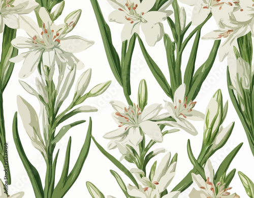 Tuberose | Redoute Flower Illustration
