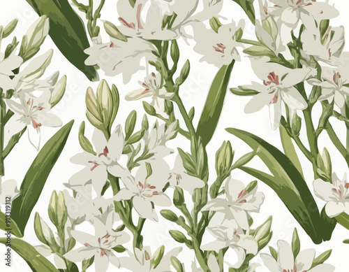 Tuberose | Redoute Flower Illustration

