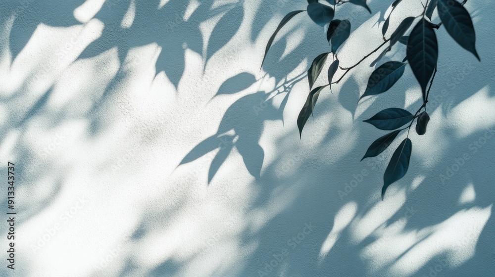 Shadowy Branches on a Wall Shadowy Branches on a Wall