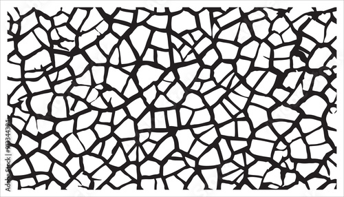 Abstract black and white cracked texture. Geometric pattern background.