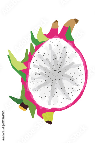 Stylized Dragon Fruit Cross-Section Illustration