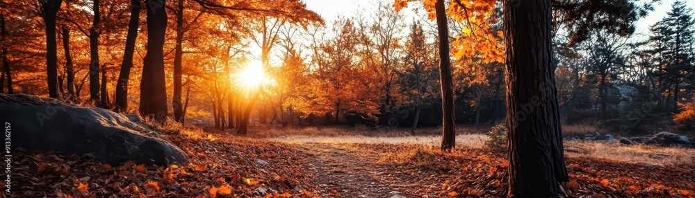 Fototapeta premium Fall scenery, vibrant colors, lush scenery, wide shot, inviting