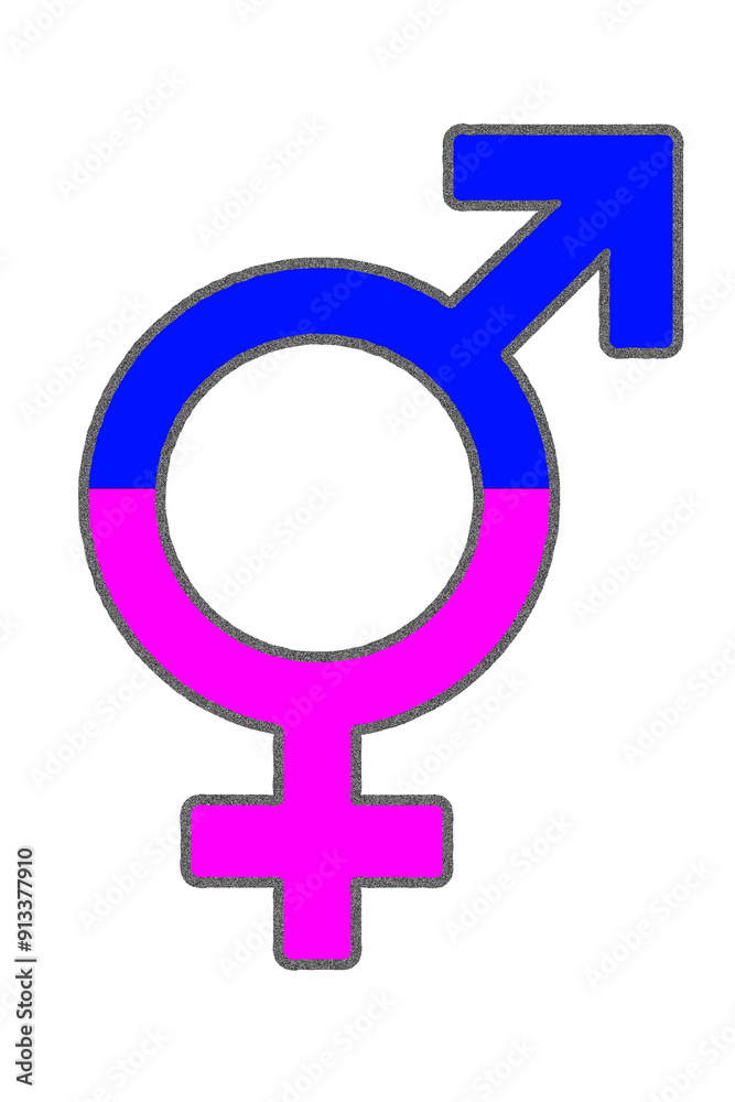 silhouette vector image of male and female gender symbol isolated on white transparent background man and woman icon with word written in english image silhouette vector image of male and female gender symbol isolated on white transparent background man and woman icon with word written in english image