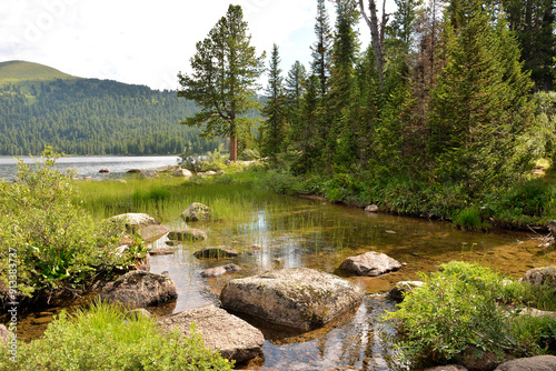 Картината върху платно A small creek with stones protruding from the surface on the shore of a large lake in the mountain taiga on a sunny summer day