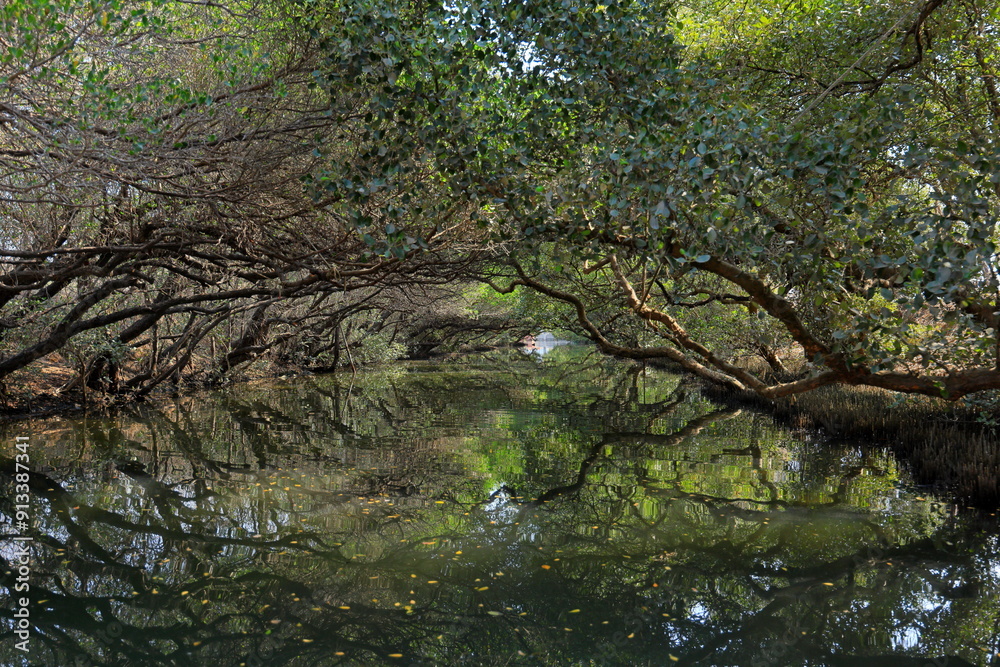 Sicao Green Tunnel, canopy of mangrove trees at Dazhong Rd, Annan District, Tainan, Taiwan Sicao Green Tunnel, canopy of mangrove trees at Dazhong Rd, Annan District, Tainan, Taiwan