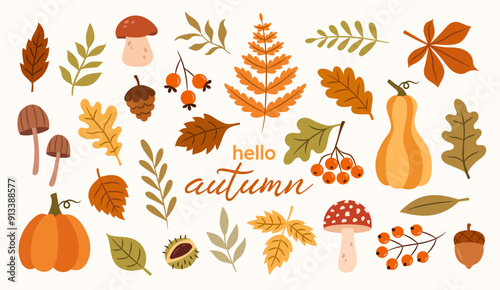 Autumn vector botanical set of leaves, mushrooms, plants, branches, berries