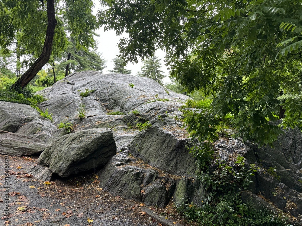 Fototapeta premium Central Park Rocks, Cloudy Day