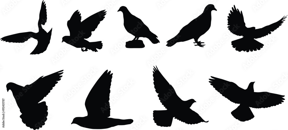 Obraz premium Set of pigeon silhouette full body illustration. Bird pose silhouette.