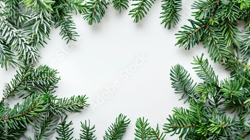 Frame of pine leaves with white background