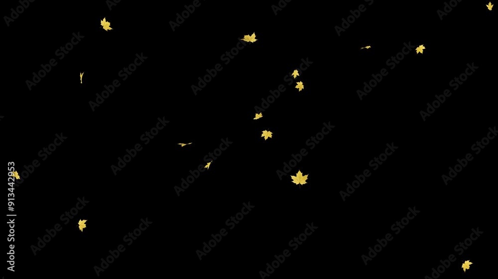 Maple Leaves Falling on Alpha Channel. Maple leaves falling with alpha channel you can place on footage or background and easier to change color.