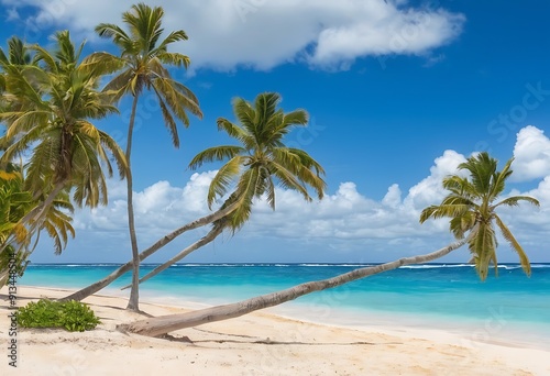 beach with palm trees