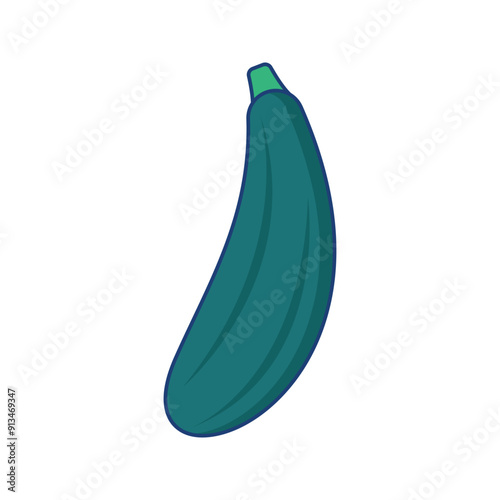 Zucchini Illustration