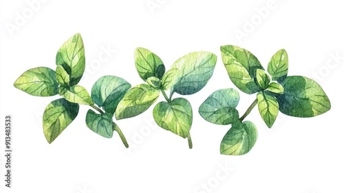 Charming and whimsical watercolor of a cute oregano sprig with smiling leaves  Perfect for culinary branding packaging design recipe books kitchen decor or any projects related to healthy natural
