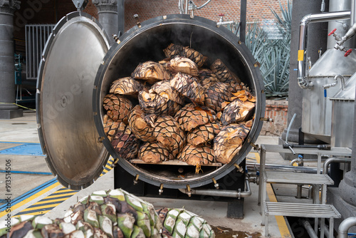 Horno autoclave con agaves cocinados en la fabrica de Tequila Jalisco. photo