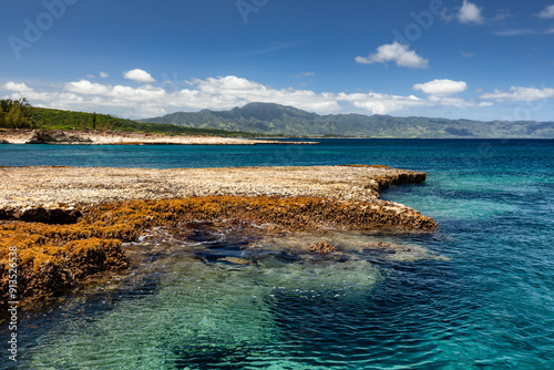 Low tide at Sharks Cove, on the island of Oahu, Hawaii, exposes multiple holes in the lava, acting as skylights underwater; this one with a sea turtle about center frame