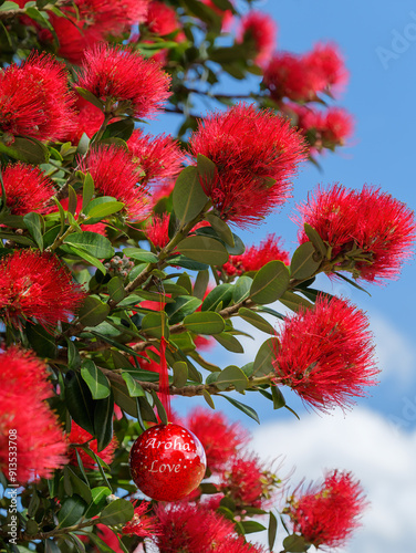 A shiny red Christmas bauble hanging in a Summer flowering New Zealand Pohutukawa tree.  photo