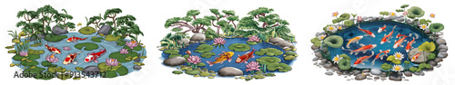 Japanese Garden Design: Koi Fish Pond with Water Lilies and Lotus Flowers