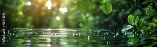 Serene Pond in a Lush Forest