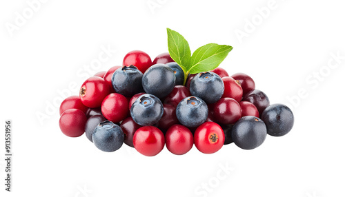 forest berries isolated PNG white background