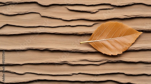 Leaf's delicate veins tracing patterns, contrasted against the textured lines of rough bark, natural beauty captured photo