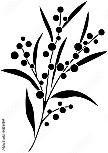 floral illustration plant silhouette australian logo flower icon branch outline leaf wattle pycnantha australia mimosa botanical golden acacia decorative shape tree tropical twig for vector graphic