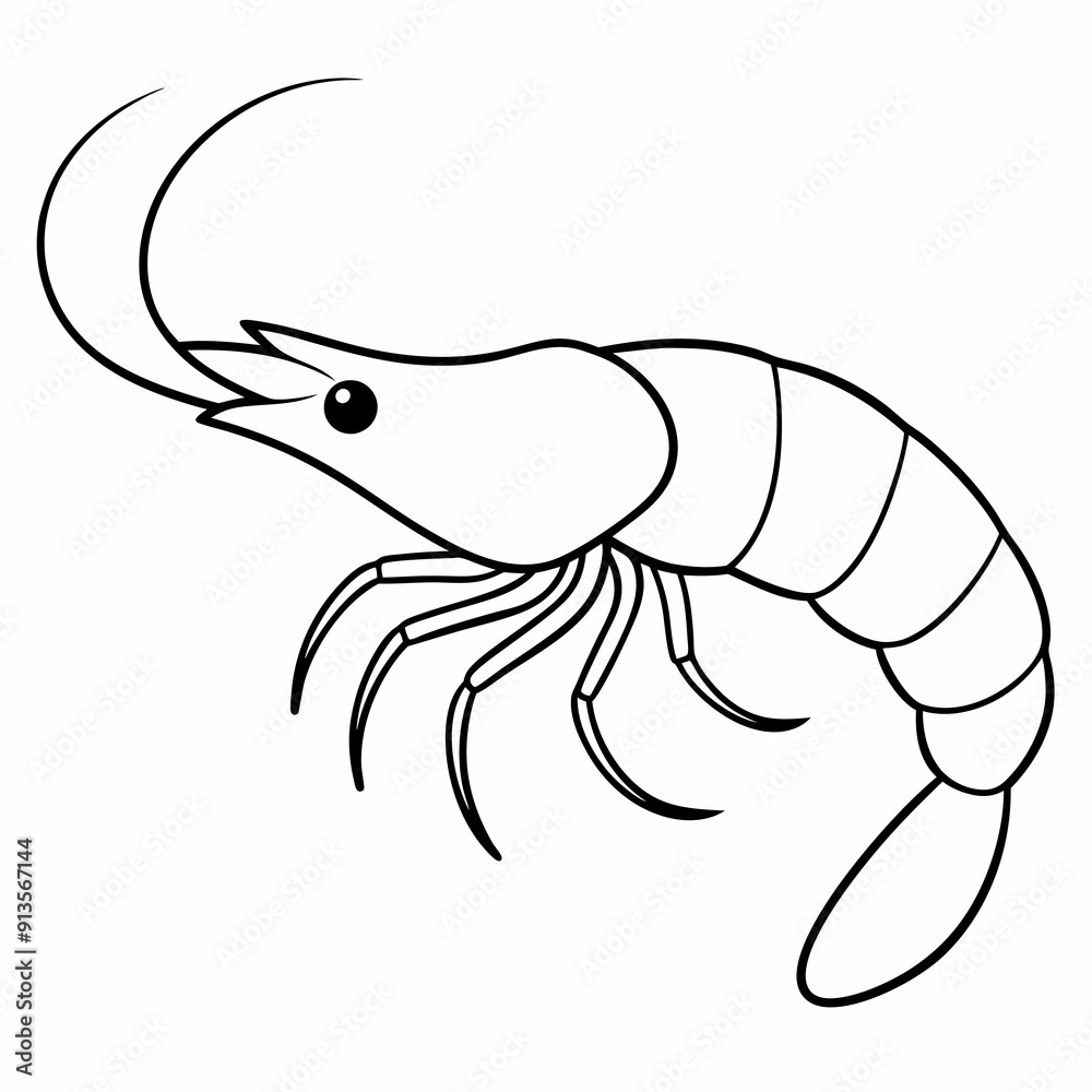 A simple line art drawing of a small prawn art vector illustration A simple line art drawing of a small prawn art vector illustration