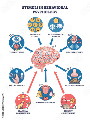 Stimuli in behavioral psychology with brain feeling causes outline diagram, transparent background. Labeled scheme with tactile, auditory or olfactory senses illustration.