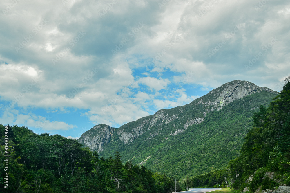 Fototapeta premium Mountain view with lush forest and cloudy sky